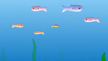 fishy